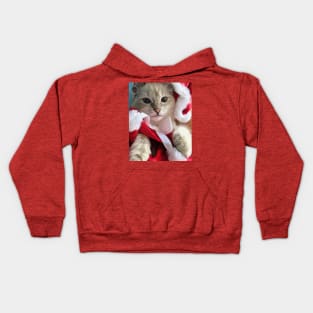 Saoirse ragdoll Santa baby Kids Hoodie